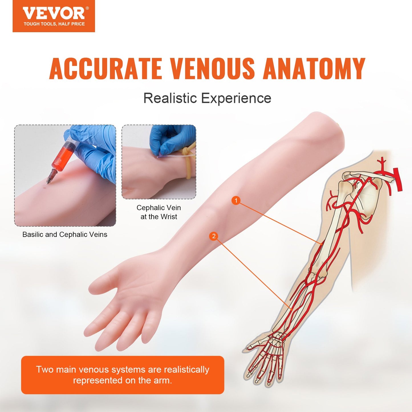 Phlebotomy Practice Kit, IV Venipuncture Intravenous Training Kit,